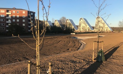 Bølgen i Vejle