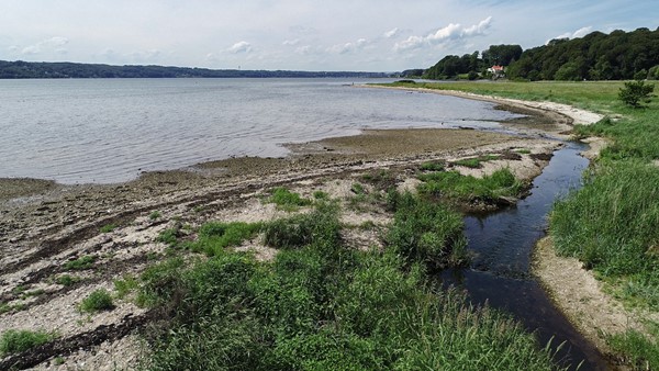 Vejle Fjord fra sydsiden