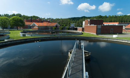 Spildevandsrenings på Vejle renseanlæg